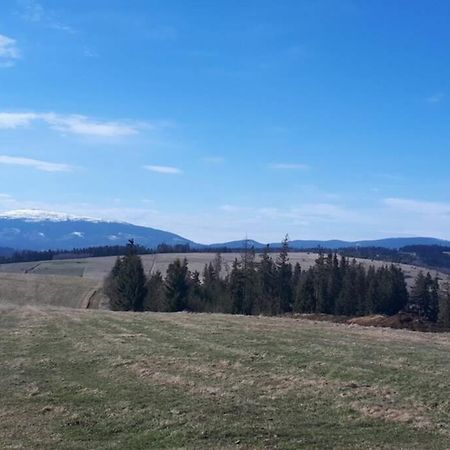 Przytulny Apartamentt Jablonka  Экстерьер фото