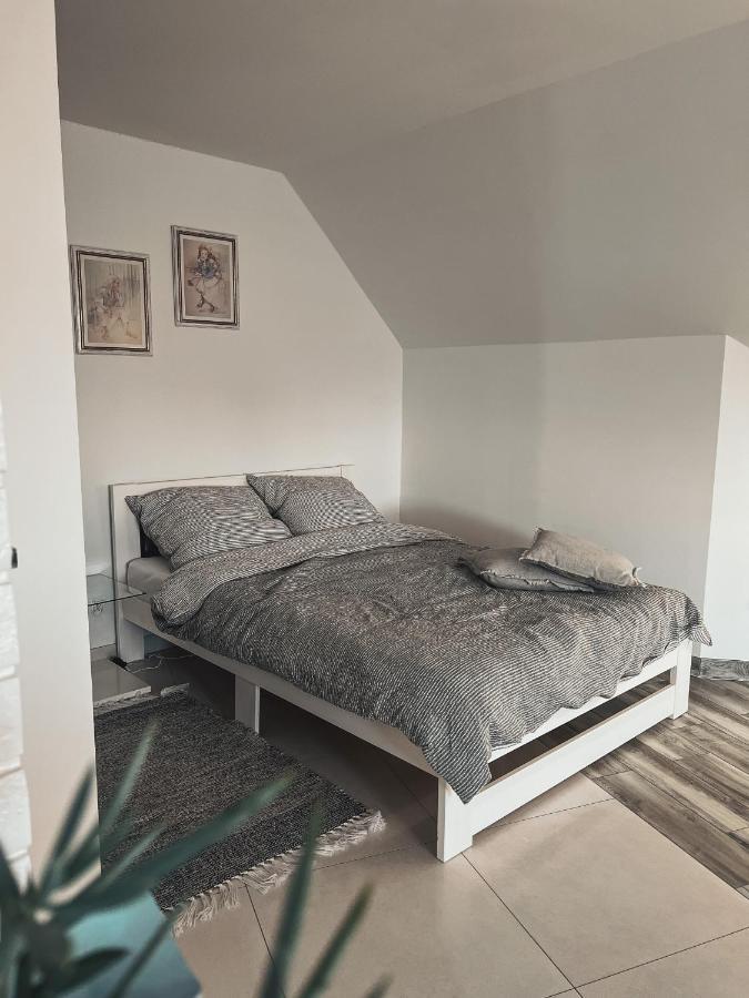 Przytulny Apartamentt Jablonka  Экстерьер фото